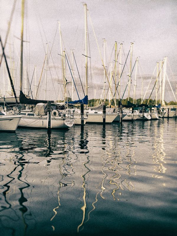 Solomans boats_2077.jpg
