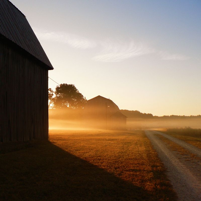 Sunrise over barns 1010185.jpg