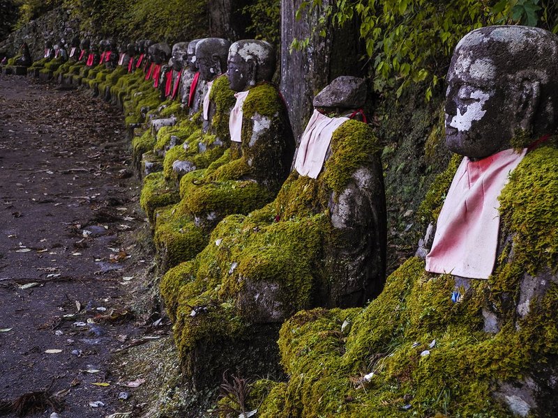 Ghost Buddhas 6545.jpg :: Nikko, Japan - Ghost Buddhas taken in Kanmangafuchi Abyss. according to local legend they will disappear like ghosts and change their location. 