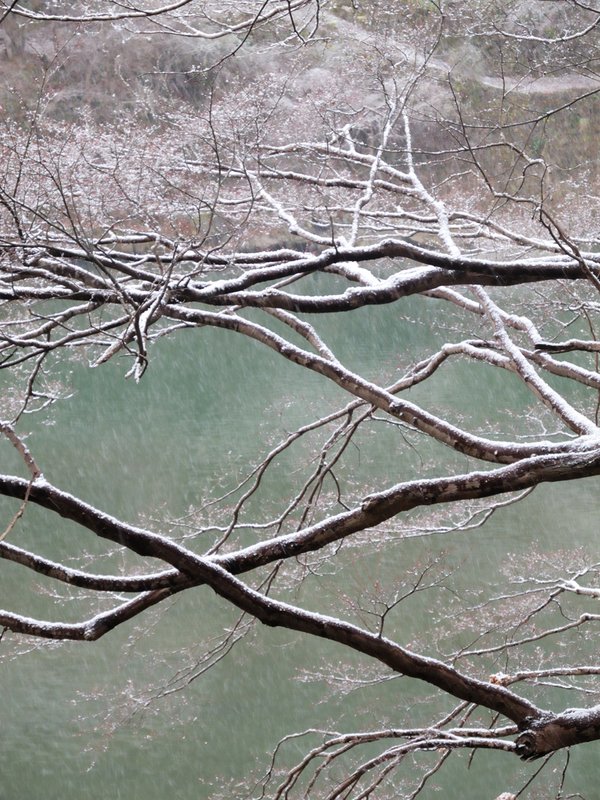 Kyoto in the snow 1005.jpg :: This was taken in Kyoto, Japan on a snowy morning.