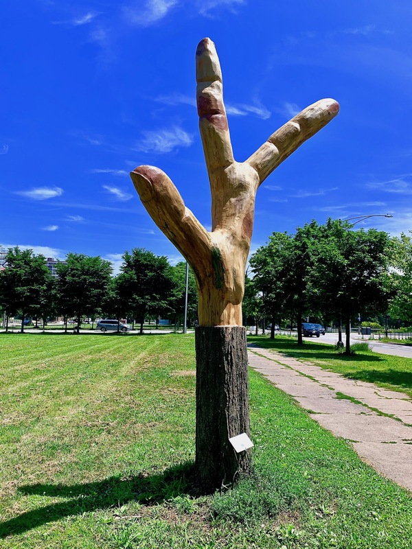 IMG_0032-preview copy.jpg :: a drug formerly used as a sedative, but withdrawn in the early 1960s after it was found to cause congenital malformation or absence of limbs in children whose mothers took the drug during early pregnancy.