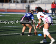 D5D_2834.jpg
