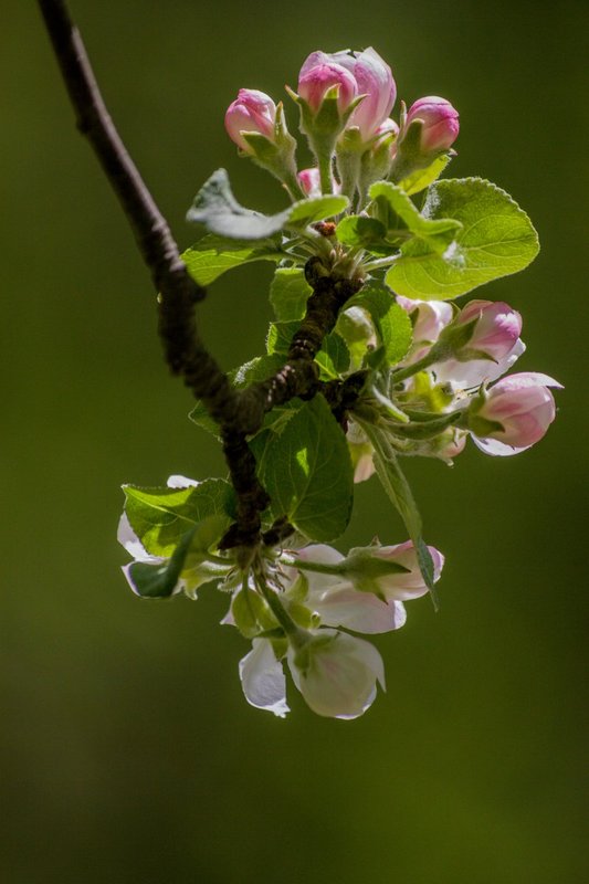 2013-9780.jpg