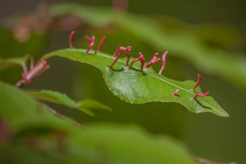 2013-9904.jpg