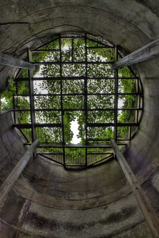 9971_2_3_tonemapped.jpg