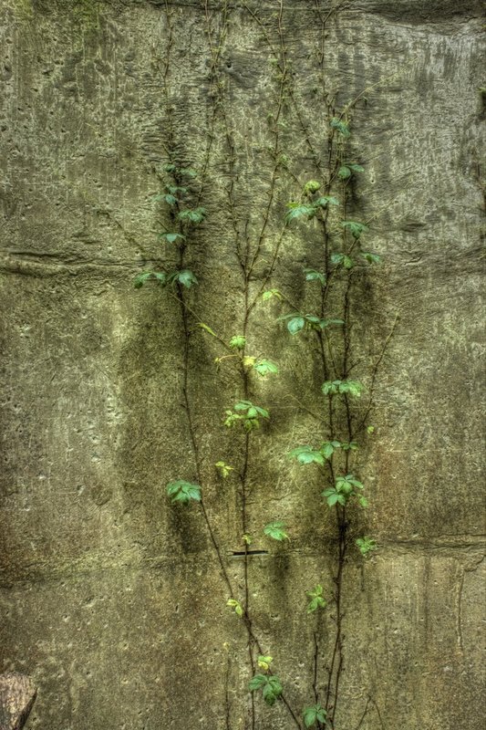 9995_6_7_tonemapped.jpg