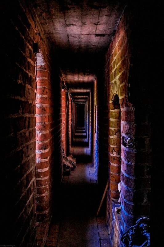 Central-2066.jpg