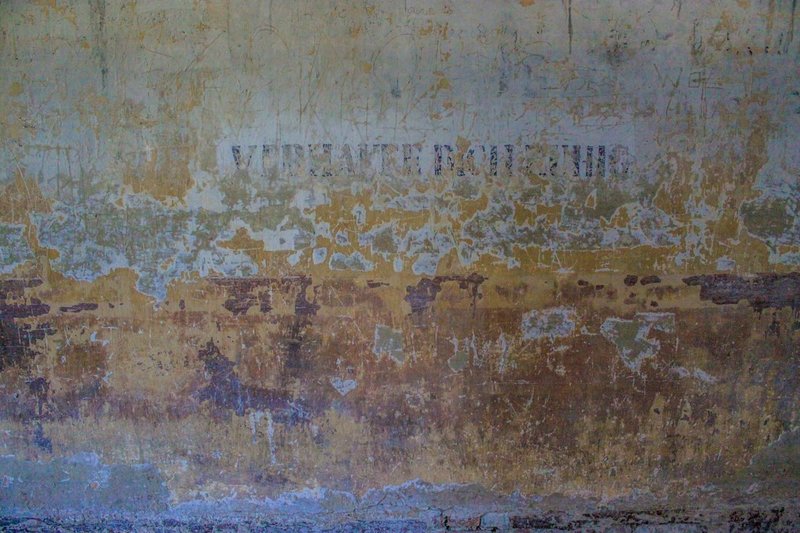 Central-3533.jpg