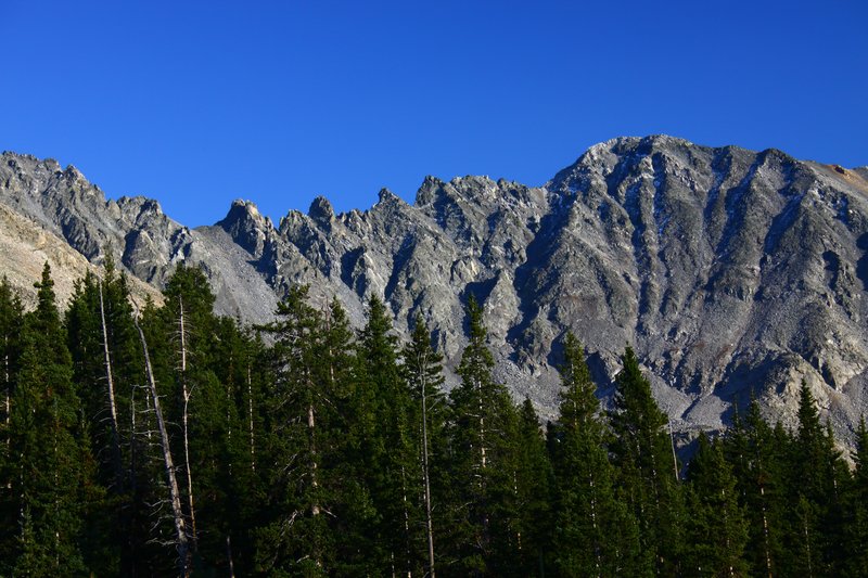 IMG_7472.jpg