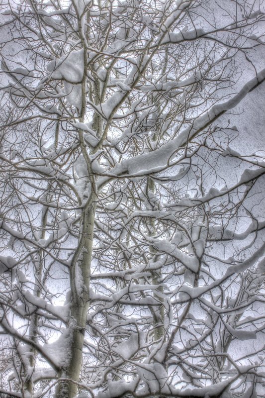 IMG_9293_4_5_tonemapped.jpg