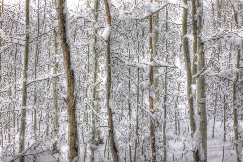 IMG_9296_7_8_tonemapped.jpg