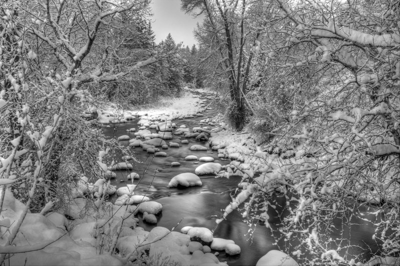 untitled shoot-9323_4_5_tonemapped.jpg
