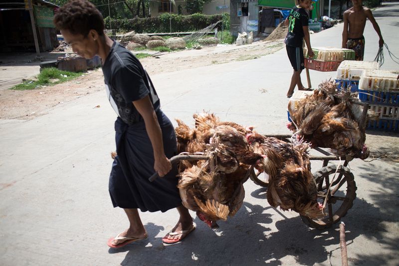 Myanmar-1069.jpg