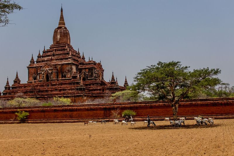 Myanmar-2467.jpg