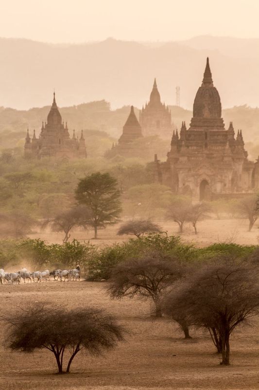 Myanmar-2570.jpg