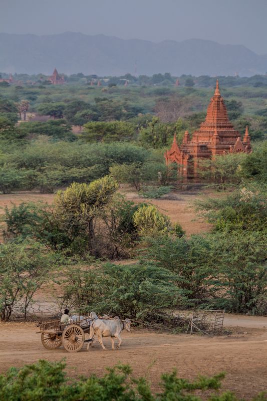 Myanmar-3796.jpg