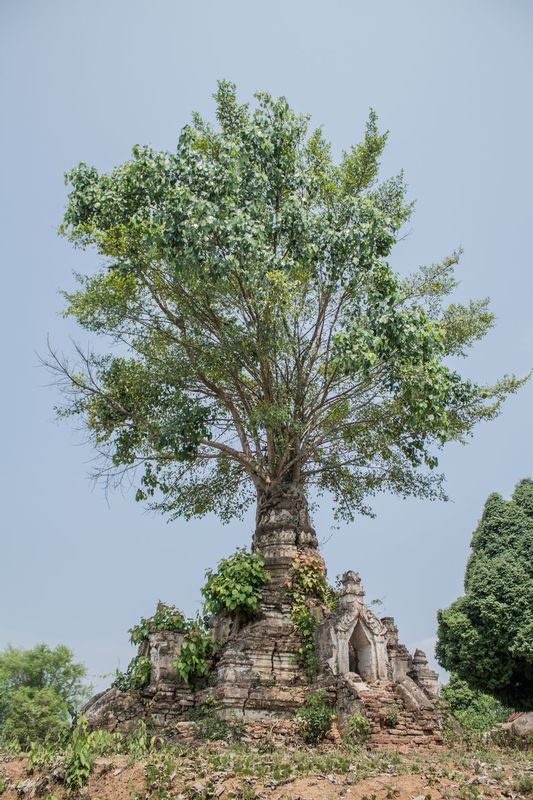 Myanmar-5054.jpg