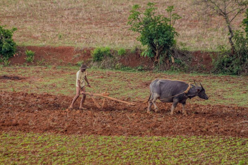 Myanmar-5656.jpg