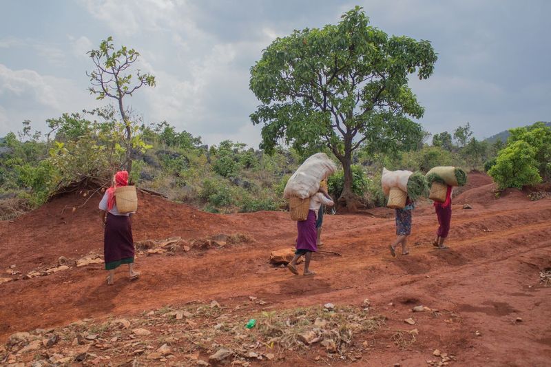Myanmar-5773.jpg