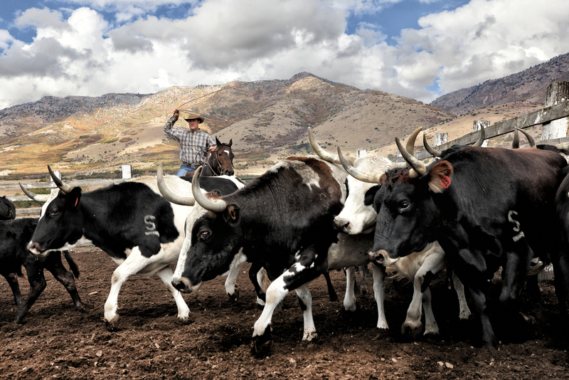 27B3A16362.jpg 27B3A16362.jpg