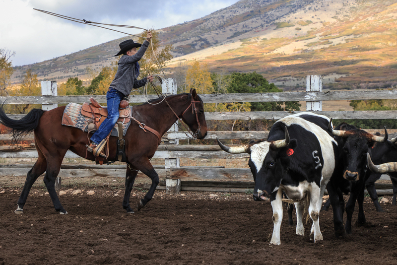 27B3A1691.jpg 27B3A1691.jpg