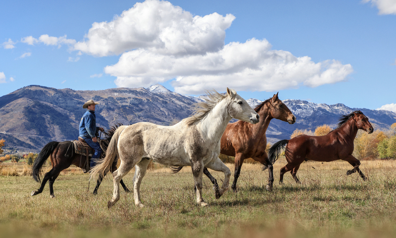 7B3A03172crop.jpg 7B3A03172crop.jpg