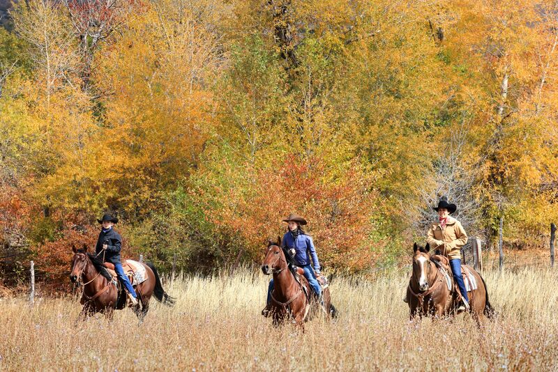 7B3A1161sm.jpg 7B3A1161sm.jpg