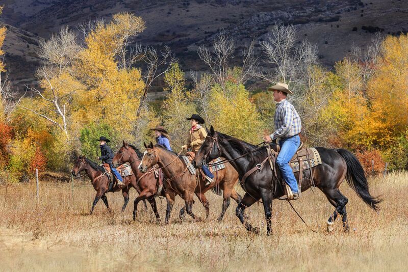 7B3A11735sm.jpg 7B3A11735sm.jpg