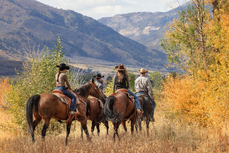 7B3A1479sm.jpg 7B3A1479sm.jpg