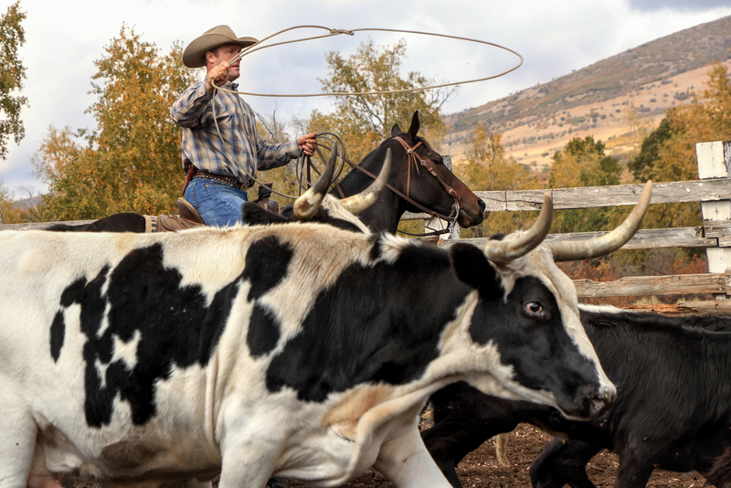 7B3A1604.jpg 7B3A1604.jpg