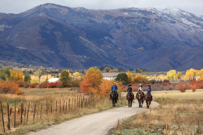 7B3A95833.jpg 7B3A95833.jpg