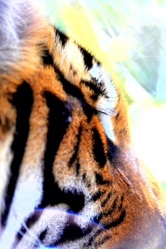 DPP_2463.jpg