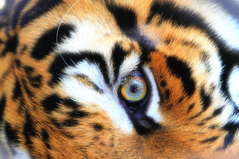 DPP_2465.jpg