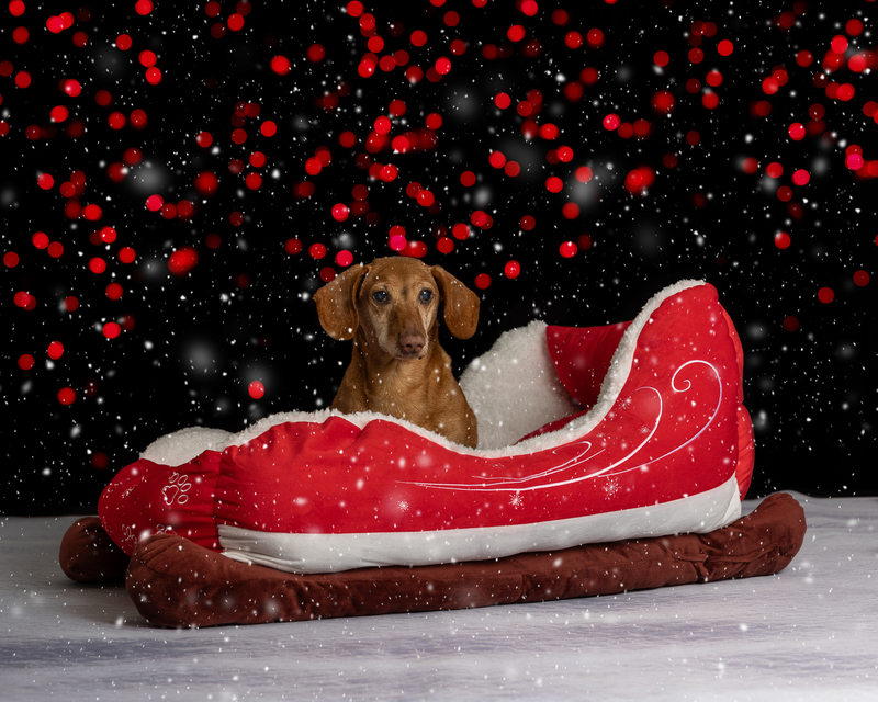 7C6A5886Lightsand Snow.jpg