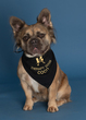 Coco-2.jpg