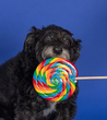 Cooper-4.jpg