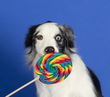 Riley-4.jpg