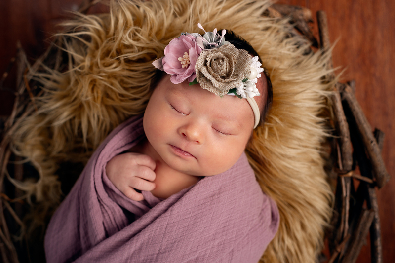 AJnewborn-126(1).jpg