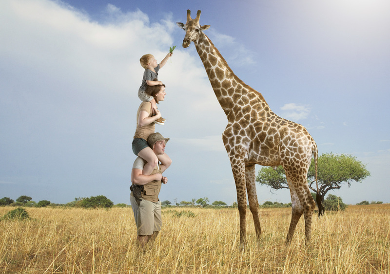 Bales giraffe 2019-Recovered copy(1).jpg