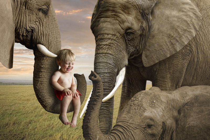 FredElephant2019-2 copy(1).jpg