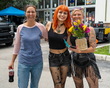 08-01-26-101.jpg
