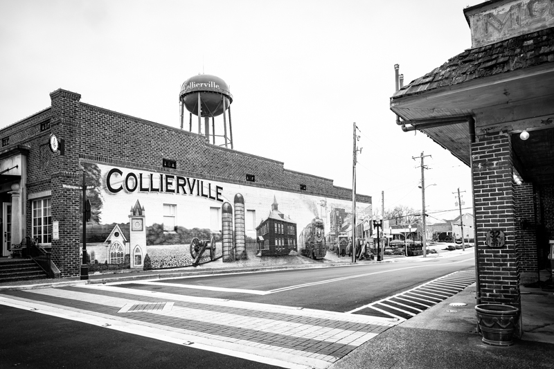 20250216 Collierville TN-1010577.jpg