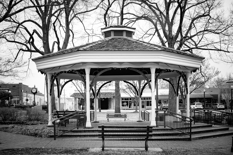20250216 Collierville TN-1010592.jpg