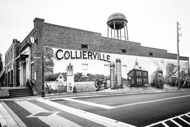 20250216 Collierville TN-1010600.jpg