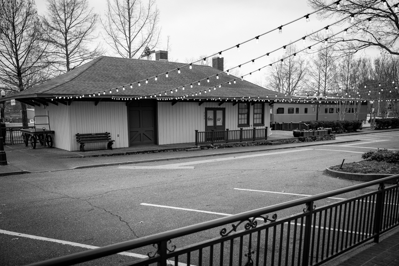 20250216 Collierville TN-1010686.jpg