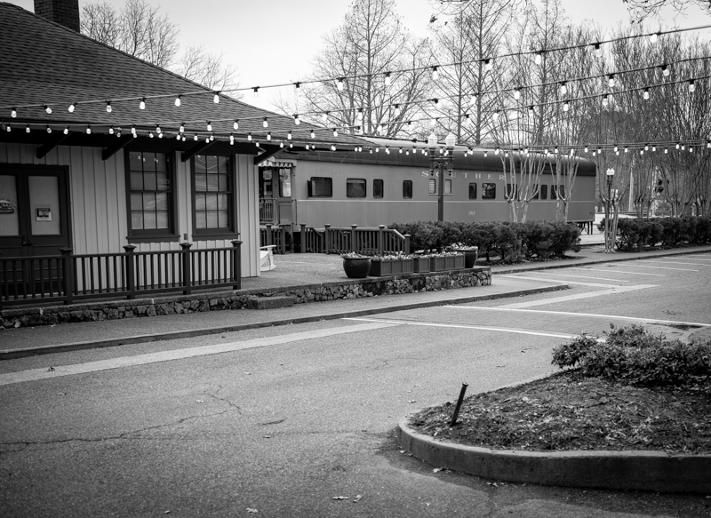 20250216 Collierville TN-1010690.jpg