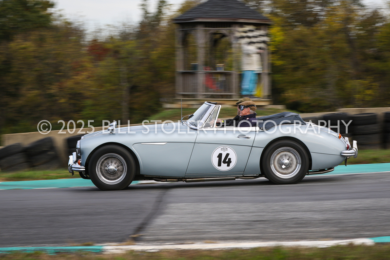 MBR25-2788.jpg