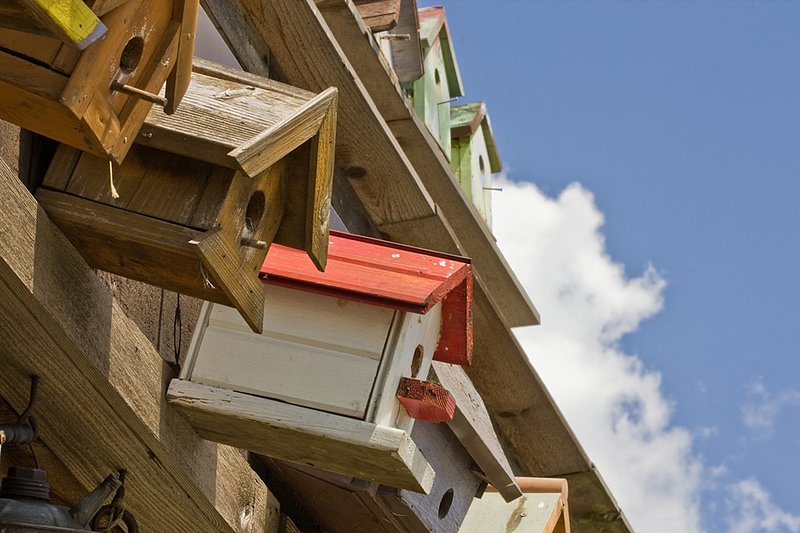 Bird Condos.jpg