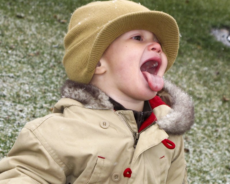 Catching Snowflakes.jpg