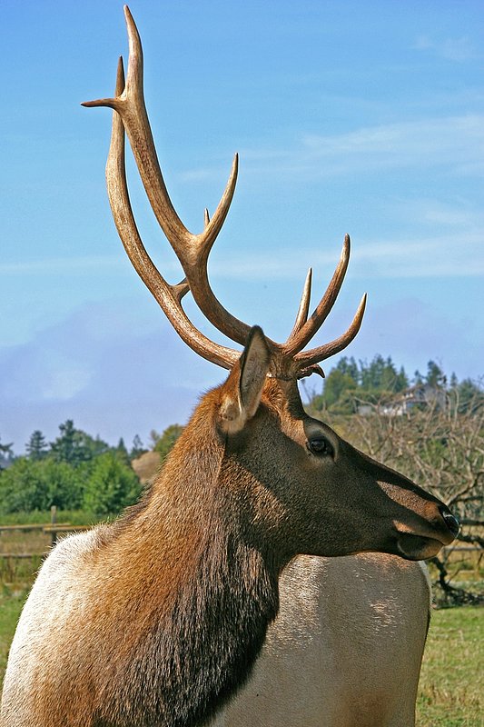 Check Out My Rack.jpg